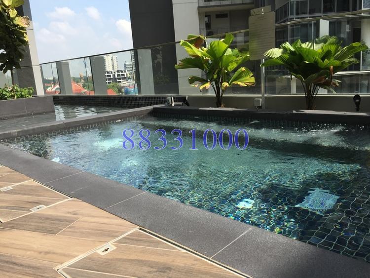 Robin Suites (D10), Apartment #174829052